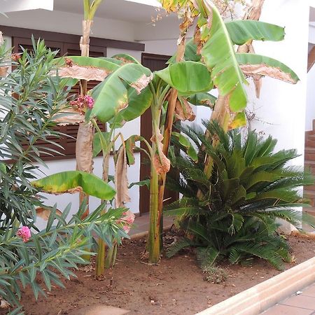 Apartamentos Sal Rossa Ibiza Town Ngoại thất bức ảnh