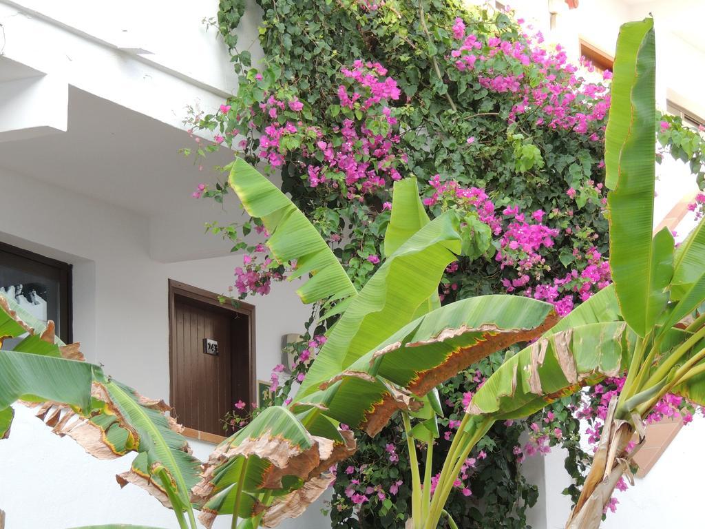 Apartamentos Sal Rossa Ibiza Town Ngoại thất bức ảnh